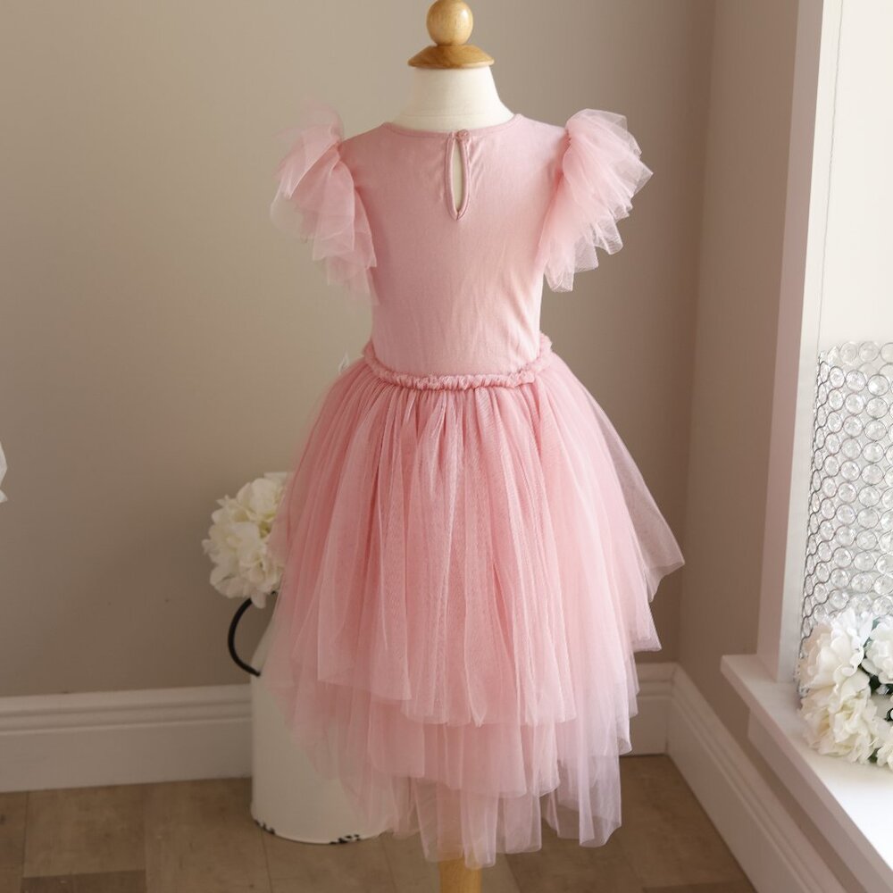 Tutu Du Monde Blush Pink Peach Blossom Tutu Dress Party Portrait Like New - Picture 6 of 8